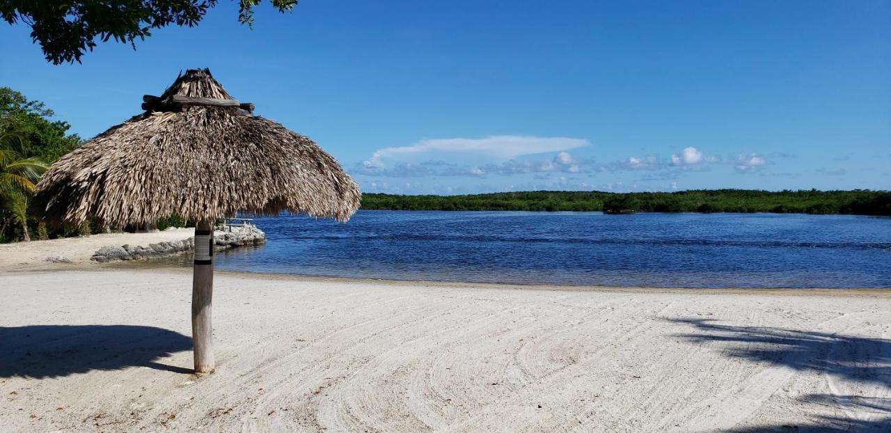 Tiny House Rv, Kayak Key Largo