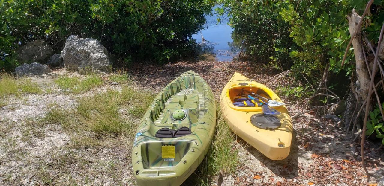 Tiny House Rv, Kayak *